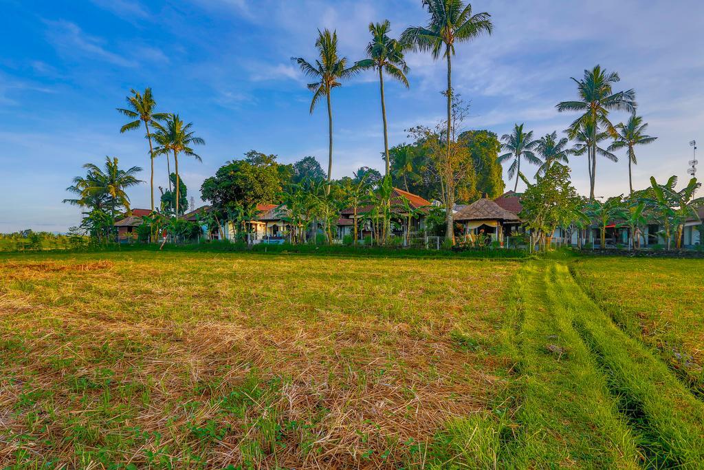 Villa Kaba Kaba Resort Чангу Экстерьер фото