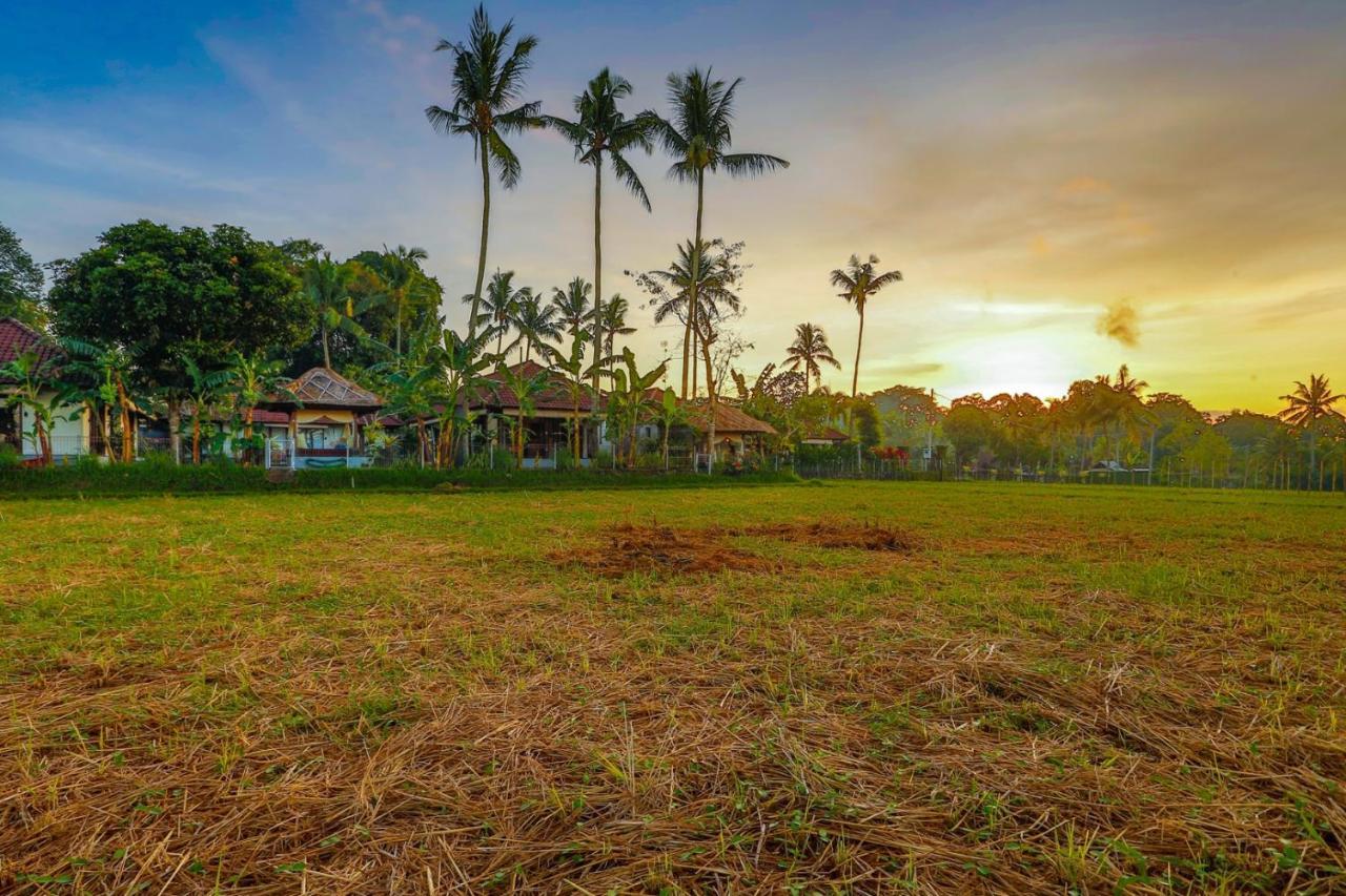 Villa Kaba Kaba Resort Чангу Экстерьер фото